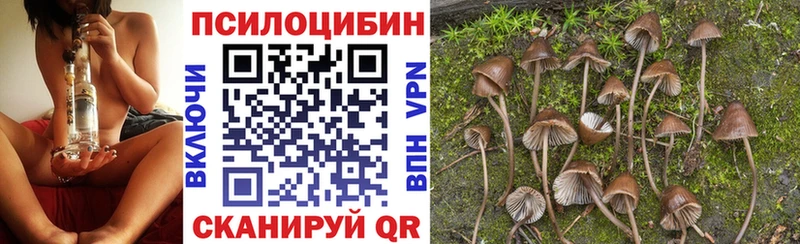 кракен зеркало  Сясьстрой  Галлюциногенные грибы MAGIC MUSHROOMS  даркнет сайт 