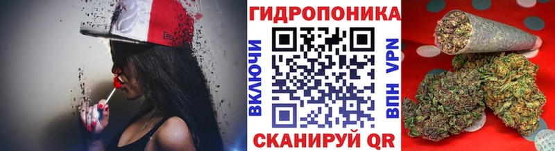 купить наркотик Сясьстрой Конопля THC 21%